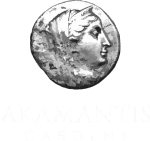 Property gallery view 4