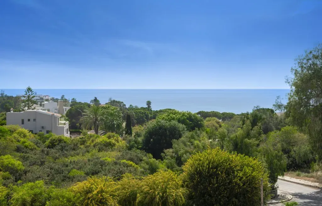 Property gallery view 13